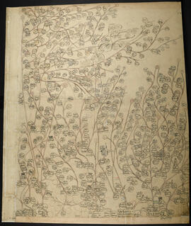 Genealogía de las familias Bonilla Alvarado, Naba del Corral, De la Pastora, Madriz Cervantes y B...