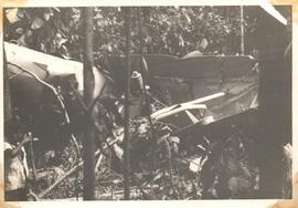 251955.jpg