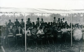 6002-44.jpg