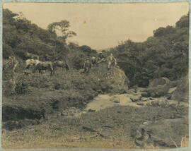 Fotografía en albun de las Minas de Carbón en Desamparados. Se observa el paisaje del lugar, vege...