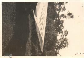 251931.jpg