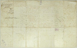 Plano de la población de Puerto Limón. Este plano se refiere al contrato del 20 de abril 1875, fi...