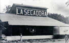 Fotografía del edificio de la Planta Secadora en Guácimo. Se observa parte de un vagón del tren y...