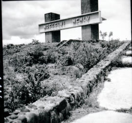 4119-8.jpg