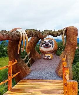 Fotografía de atracción turistica "Perezoso mas grande de Costa Rica" ubicado en el Cen...