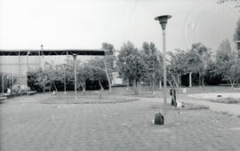 6286-16.jpg