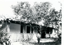 4153-14.jpg