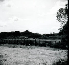 4126-34.jpg