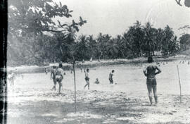 Fotografía de la playa Portete. Se observa la vegetación y algunos bañistas. Limón