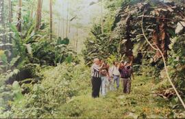 Fotografía de personas en la gira proyecto forestal en Proyecto Agroindustrial de Sixaola (PAIS S...
