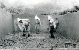 4287-4.jpg