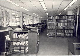 Fotografía con la imagen de una vista parcial de la sección de referencia de la Biblioteca Carlos...