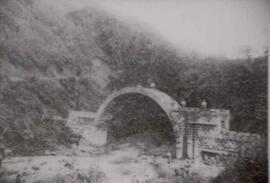 Fotografía del puente que unía a San Ramón y Palmares, en el distrito del Rosario de Naranjo. Ala...