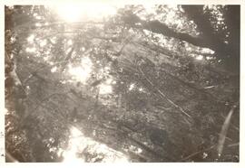 251879.jpg