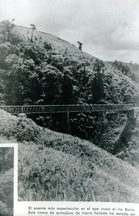Fotografía del Puente ferroviario sobre el río Birrís. Se observa la estructura y las torres de s...