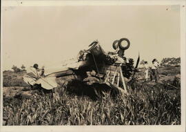 251959.jpg