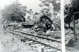 4821-2.jpg