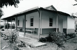 5019-5.jpg