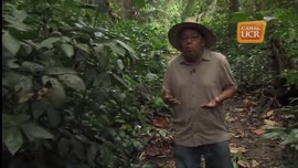 Video titulado Colección fotográfica: Raíces de Limón, por Lillianne Sánchez; del proyecto de inv...