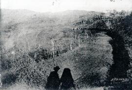 6319-5.jpg