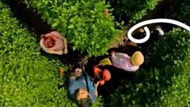 Video de sobrevuelo en el laberinto Miravalles, emprendimiento familiar de la familia Guido Loria...
