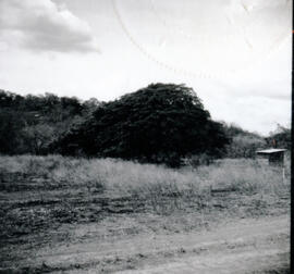 4118-10.jpg
