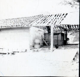 4124-15.jpg