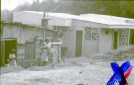 4406-5.jpg