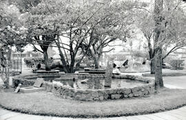 6286-8.jpg