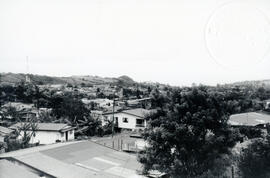 4080-2.jpg