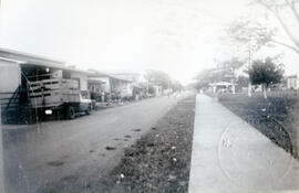5466-2.jpg
