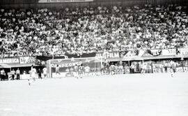 6277-12.jpg
