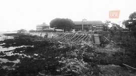 Video titulado Colección fotográfica: Raíces de Limón, por Jose Durán; del proyecto de investigac...