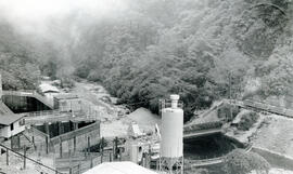4161-3.jpg