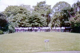 59-2.jpg