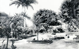 Fotografía del parque de Limón. Se observa el decorado del parque, una fuente, bancas y frondosos...