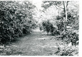 4153-21.jpg