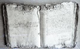 4631-4.jpg