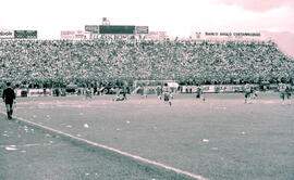 6274-6.jpg