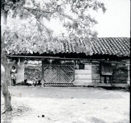 4124-13.jpg