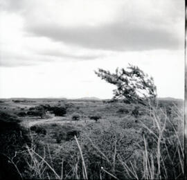 4123-11.jpg