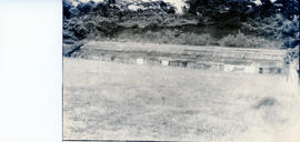 3652-4 BIS.jpg