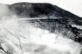 4135-2.jpg