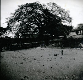 4126-22.jpg