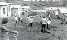4382-2.jpg