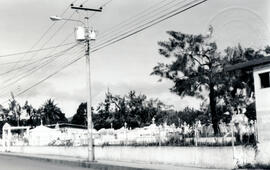 Fotografías con imágenes del cementerio del Barrio El Calvario, situado 300 metros al sur del tem...