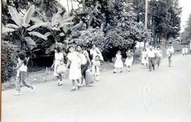 5521-2.jpg
