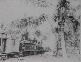 Fotografía del Ferrocarril al Atlántico. Las primeras máquinas funcionaron con vapor, el carbón c...
