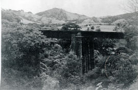 Fotografía del puente ferroviario de la milla 94 3/4. Se observa parte de la estructura y las bas...