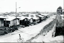 4402-3.jpg